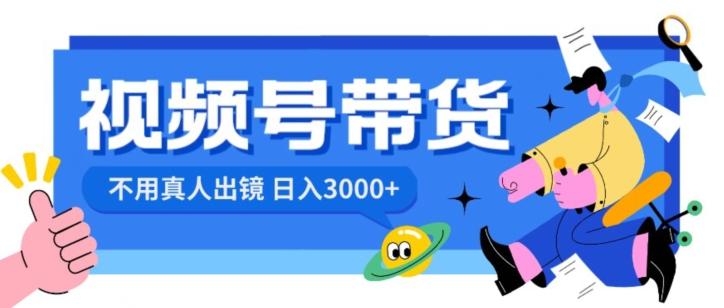 视频号带货，日入3000+，不用真人出镜-网创源码