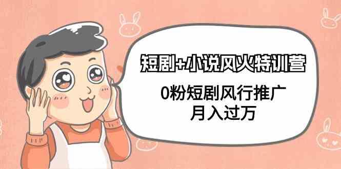 小说+短剧风火特训营，0粉短剧小说风行推广，实现月入过万-网创源码